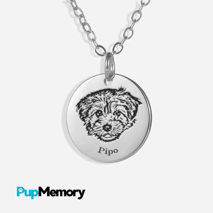 ACCESORIO MASCOTAS
