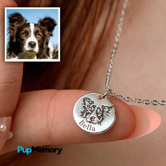 ACCESORIO MASCOTAS